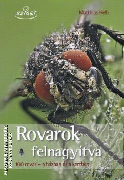 Matthias Helb - Rovarok felnagyítva