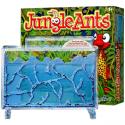 Jungle Ants - NASA Hangyafarm
