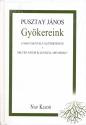 Pusztay J�nos - Gy�kereink