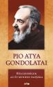 Pio atya gondolatai - Blcsessgek az v minden napjra