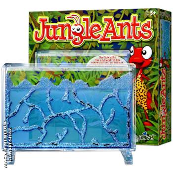 Jungle Ants - NASA Hangyafarm