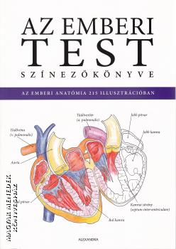  - Az emberi test sz�nez�k�nyve