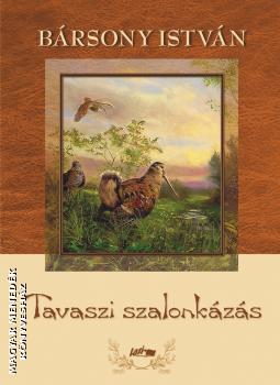 Bársony István - Tavaszi szalonkázás