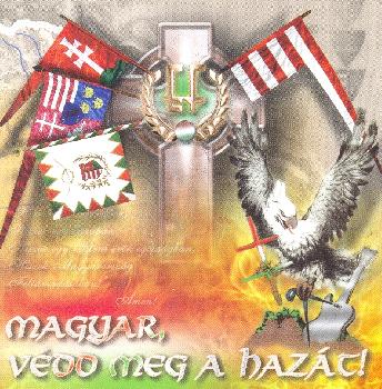 Póló - Egészséges Fejbőr póló