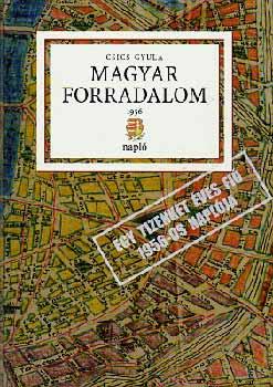 Csics Gyula - Magyar forradalom