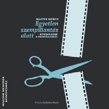 Walter Murch - Egyetlen szempillantás alatt