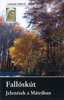 Sz�ke �gnes - Fall�sk�t - jelen�sek a M�tr�ban