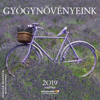  - Gygynvnyeink - 2019 Falinaptr