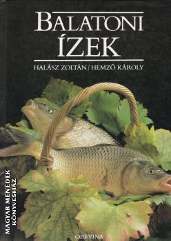 Halász Zoltán - Hemző Károly - Balatoni ízek ANTIKVÁR