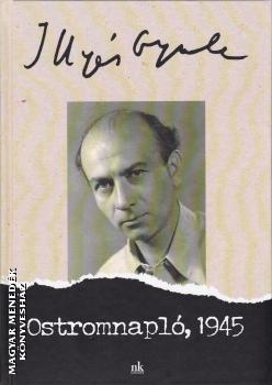 Illyés Gyula - Ostromnapló 1945