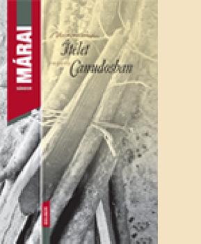 M�rai S�ndor - �t�let Canudosban