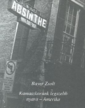 Bayer Zsolt - Kamaszkorunk legszebb nyara - Amerika ANTIKVÁR