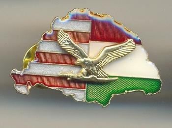 Kitz - Nagy-Magyarorszg kitz Turullal s osztott httrrel