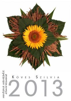 Naptr - Kves Szilvia naptr 2013