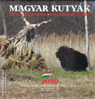  - Magyar kutyk - 2020 falinaptr