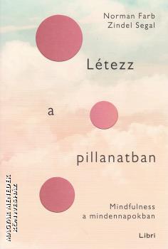 Norman Farb - Zindel Segal - Ltezz a pillanatban