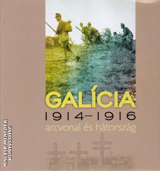 Sebestyén Mihály - Galícia 1914-1916