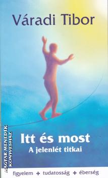 Váradi Tibor - Itt és most