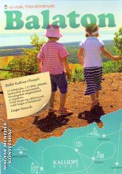 Zsiga Henrik - Balaton