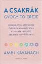 Ambi Kavanagh - A csakrák gyógyító ereje