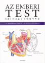  - Az emberi test sz�nez�k�nyve