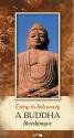 - A Buddha füveskönyve