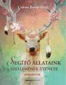 Colette Baron Reid - Segt llataink szellemnek zenete - JSKRTYA