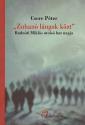 Csere Pter - Zuhan lngok kzt