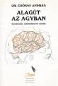 Dr. Csókay András - Alagút az agyban - ANTIKVÁR