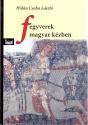 Hidán Csaba László - Fegyverek magyar kézben