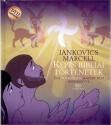 Képes Bibliai Történetek + DVD - Jankovics Marcell