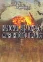 Kis-Benedek József - Katonai biztonság Marokkótól Iránig