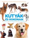 - Kutyák és rokonaik