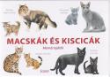 Marcel George - Macskák és kiscicák - Memóriajáték
