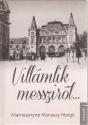 Niamessnyné Manaszy Margit - Villámlik messziről...
