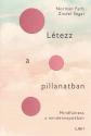 Norman Farb - Zindel Segal - Ltezz a pillanatban
