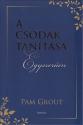 Pam Grout - A csodák tanítása egyszerűen