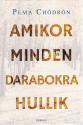 Pema Chödrön - Amikor minden darabokra hullik