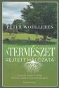 Peter Wohlleben - A termszet rejtett hlzata (puhaborts)