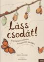 Rachel Williams - Láss csodát!
