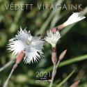 - Védett virágaink - NAPTÁR 2021